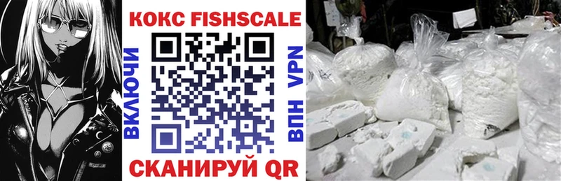 Cocaine FishScale  Купить закладки  Верея 