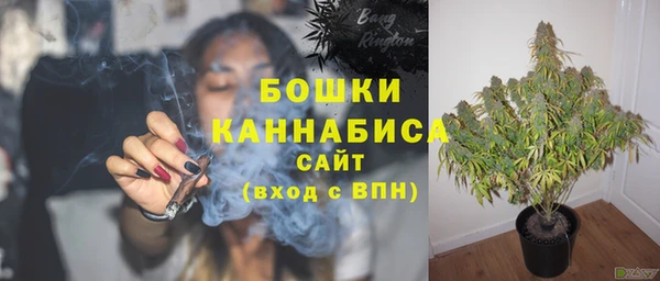 apvp Кодинск