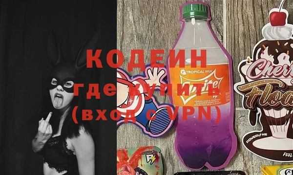 трава Коряжма