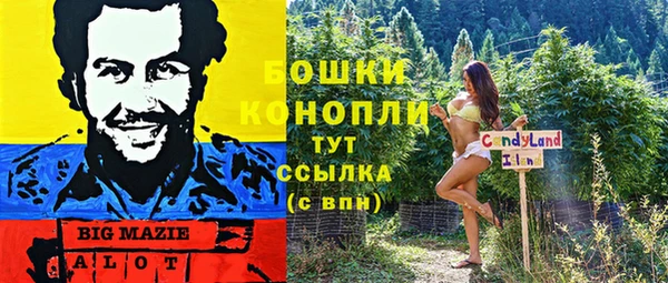 2c-b Козловка