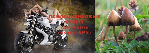 кокс Козельск